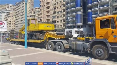 بعد 30 يوم حبس.. المقاولون العرب تدفع بمعداتها وتنقذ حياة كلب بين الصخور بالإسكندرية (صور)