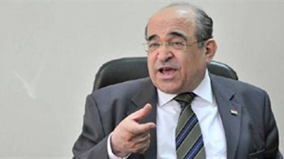 الفقي: حصولنا على القرض الدولي 