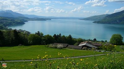  هل تعلم بماذا تشتهر سويسرا؟