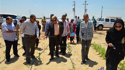 محافظ الإسماعيلية يناقش آليات دعم مشروعات القنطرة شرق (صور)