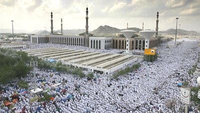 كم حجة حجها الرسول؟