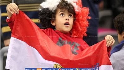 اليوم.. رفع العلم المصري بالقرية الأوليمبية بالبرازيل