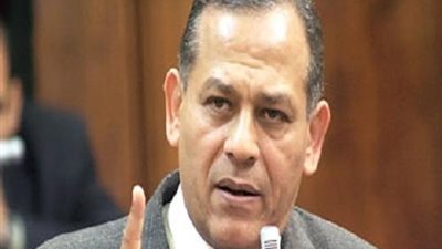 نائب برلماني: أكبر تكريم لـ