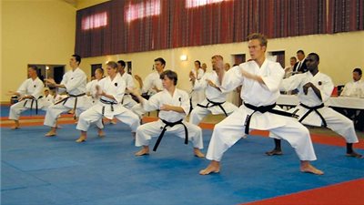 الاتحاد العربي ينتظر  قرار اللجنة  الأولمبية الدولية النهائي بإدارج الكاراتية في أولمبياد 2020