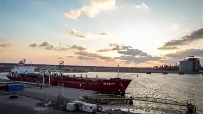 ميناء دمياط يستقبل 22 سفينة و21 في انتظار الدخول 