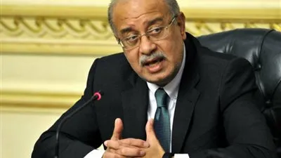 مجلس الوزراء يوافق على مشروع قانون بشأن شركات الشخص الواحد 