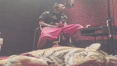 10 آلاف دولار غرامة على مغني الراب تيجا لتربيته لنمر صغير