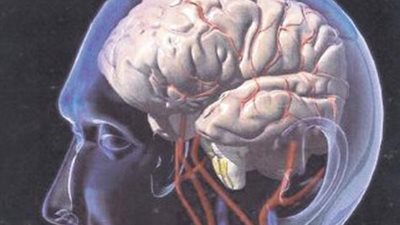 11 معلومة غريبة عن عقل الانسان تعرف عليهم 