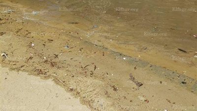 مساكن الأمل بالسويس تغرق بسبب كسر خط مياه الشرب (صور ) 