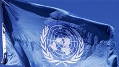 الأمم المتحدة تشارك فى ورشة أعمال: 