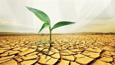 طرق الصدقة الجارية