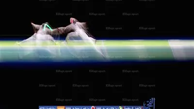 ريو 2016 .. التونسية عزة بسباس تودع منافسات المبارزة بالسيف   