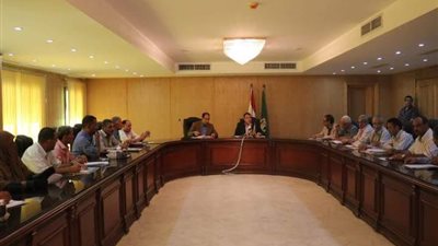 منظومة جديدة للإعلانات وإزالة غير المرخص منها بالفيوم 