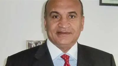 رئيس البيت المصري بألمانيا: أزمة الدولار 