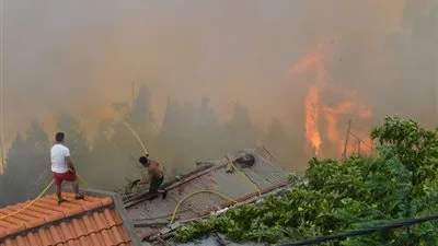 مقتل 3 في حرائق غابات بجزيرة ماديرا البرتغالية وإجلاء أكثر من ألف