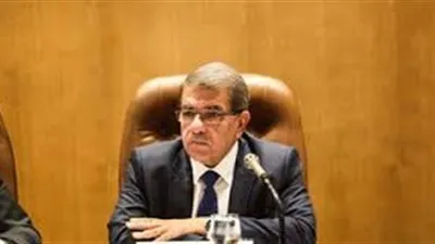 وزير المالية: مفاوضات صندوق النقد تسير بشكل جيد 