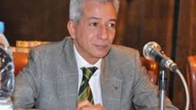 علاء عز يُطالب بزيادة المنافذ التجارية للمساهمة فى تخفيض الأسعار