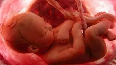 فيديو مؤثر .. شاهد ماذا يفعل الجنين فى رحم أمه