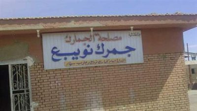 جمارك نوبيع تحصل رسوما بـقيمة 419.8 مليون جنيه خلال عام 