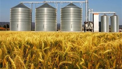 رئيس الاستيلام بـ