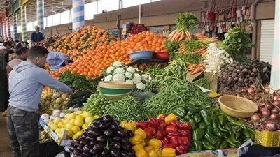 الطماطم تسجل 9 جنيهات اليوم في أسواق الإسماعيلية 