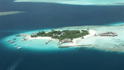 يمنع إطعام الطيور فى سان فرانسيسكو الأمريكية ، وغيرها من أغرب القوانين في العالم