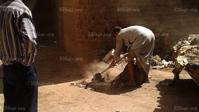 إزالة 9 حالات اشغالات طريق بقرية 