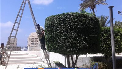 تطوير منطقة كوم الناضورة الأثرية تمهيدًا لافتتاحها بالإسكندرية (صور)