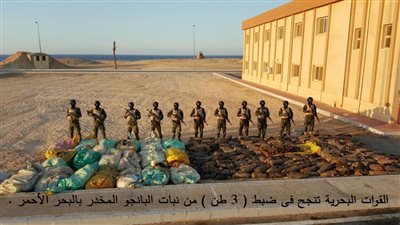 القوات البحرية تنجح فى ضبط  