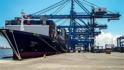 24 سفينة إجمالي سفن ميناء دمياط