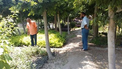 تطوير وتجميل قنال المحمودية بشرق الإسكندرية