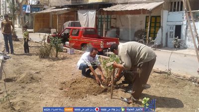 طفلان يهديان ميدان صلاح الدين شجرة ضمن فعاليات 