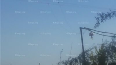 مواطنون يسرقون الكهرباء في قرية نفيشة البحرية بالإسماعيلية (صور)