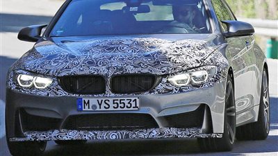 المعلومات الأولية عن 