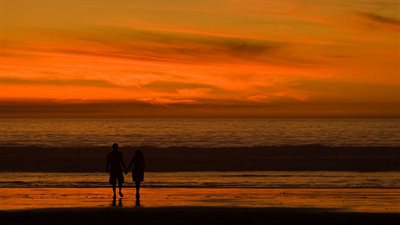 الطريقة التي يفضلك 