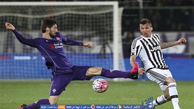 إحصائيات يوفنتوس قبل موقعة فيورنتينا   