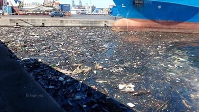 تلال القمامة تطفو على مياه البحر بميناء الإسكندرية (صور)