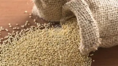 حبوب الكينوا تساعد على إنقاص الوزن