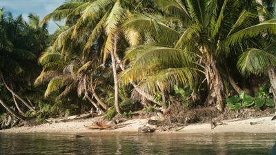 مقتل متطوعين فرنسيين اثنين بمنظمة بيئية في مدغشقر