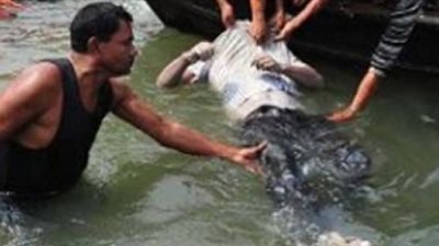 أهالى اشمون ينتشلون جثة مواطن غريقًا فى نهر النيل 