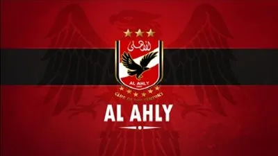 بالصور.. الحشرات تحتل صالة جمباز الأهلي