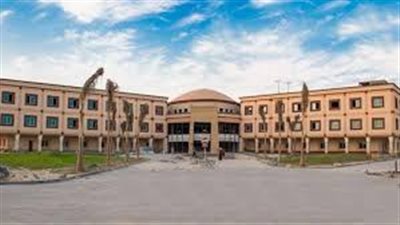 وفد من بيت الشعر بالأقصر يزور مستشفى 