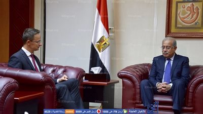 وزير الخارجية المجري: إذا اضطربت مصر.. ستغرق أوروبا باللاجئين