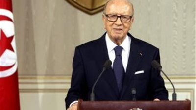 الرئيس التونسي يلتقي رئيسة بعثة الاتحاد الأوروبي