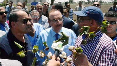 محافظ بني سويف: نسعي لإعادة سمعة القطن لسابق عهدها (صور)