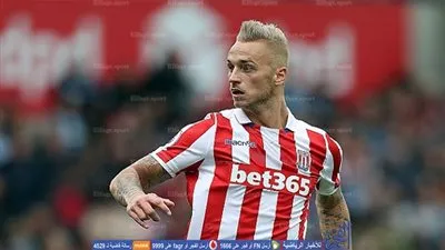 بالفيديو.. عارضة إيفرتون تحرم أرناوتوفيتش من معادلة النتيجة لستوك سيتي