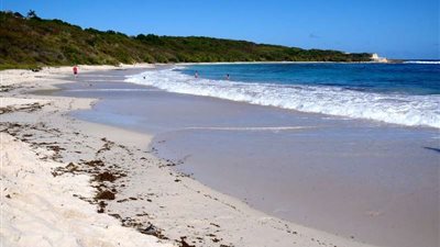 العثور على جثمان طفلة فُقذت على شاطئ 