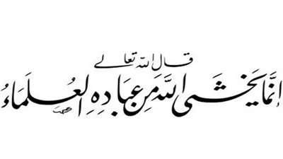 تفسير قوله تعالى 