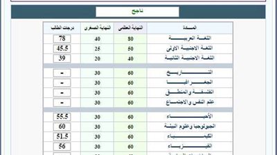  طالبة صفر الثانوية العامة تحصل على 94.02%