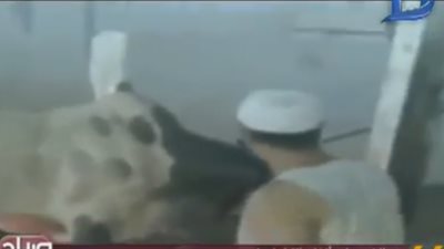 منة فاروق تعرض فيديو لطريقة ذبح تخالف الشريعة الإسلامية بمصر    